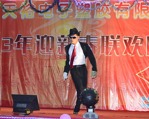 2013年春節(jié)晚會舞蹈表演2.JPG 2013年春節(jié)晚會舞蹈表演2.JPG
